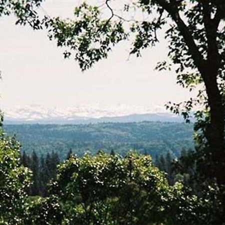 Sierra Sun Cloud Inn - Colfax (Adults Only) Екстер'єр фото