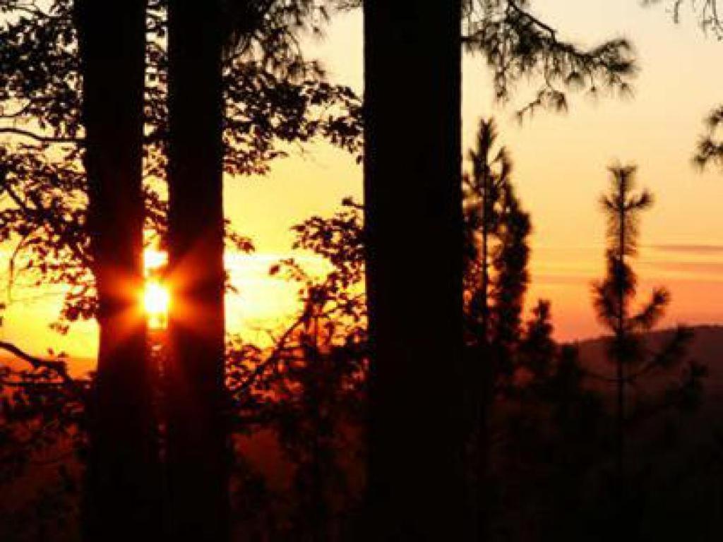 Sierra Sun Cloud Inn - Colfax (Adults Only) Екстер'єр фото