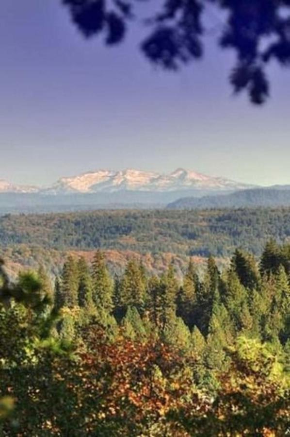 Sierra Sun Cloud Inn - Colfax (Adults Only) Екстер'єр фото